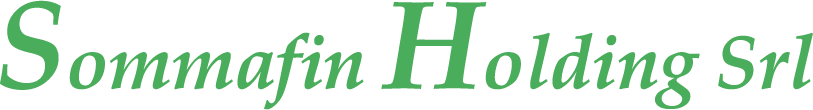 Logo Sommafin Holding Srl